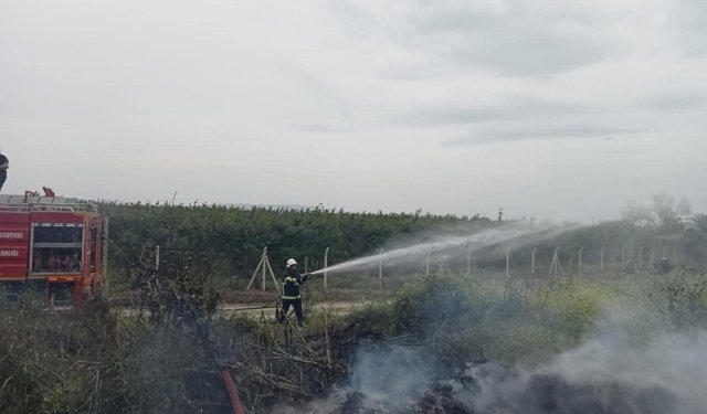 Hassa'da zeytinlik yangını