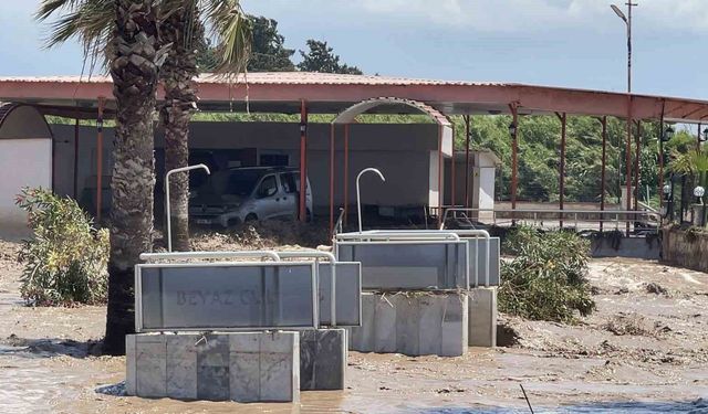 Hatay'da araçlar ve evler sular altında kaldı