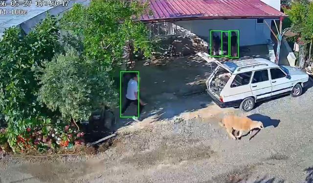Mersin'de kurbanlıklar kaçtı, bayram neşesi kameralara yansıdı