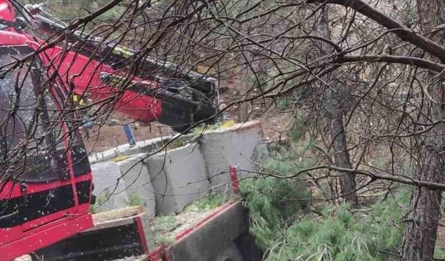 Yoldan çıkan vinç ormanlık alana daldı