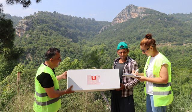 Başkan Yıldız'dan Üreticiye Yüzde 50 Tuzak Desteği