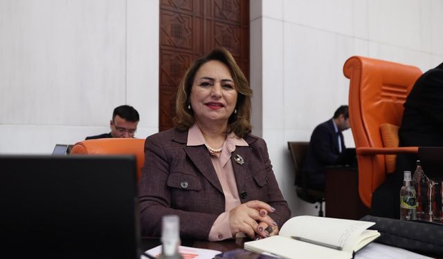 Dr. Şevkin: İktidar Yönünü Bir Türlü Adana’ya Dönmedi