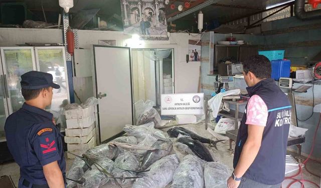 Antalya'da avlanması ve satışı yasak olan 603 kilogram balığa el konuldu