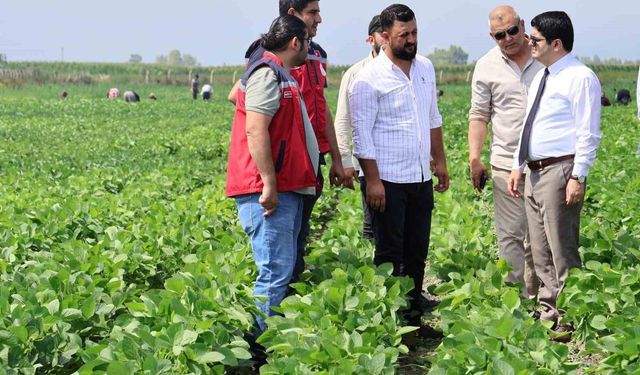Arsuz'da soya ekimi yapıldı