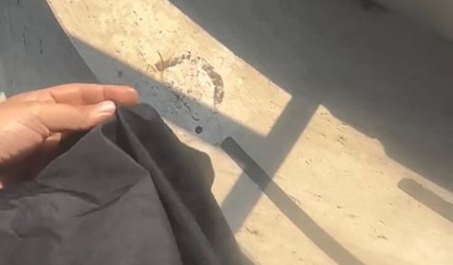 Mersin'de Tesettür Mayo Krizinde Tutuklama