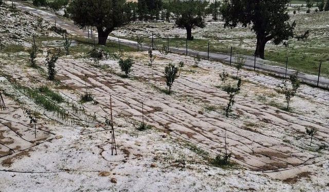 Mersin Erdemli'de dolu tarım alanlarına zarar verdi