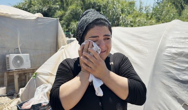 Tarım işçisi annenin yangın gözyaşları: 7 yıldır kaldığı konteyner gözleri önünde küle döndü