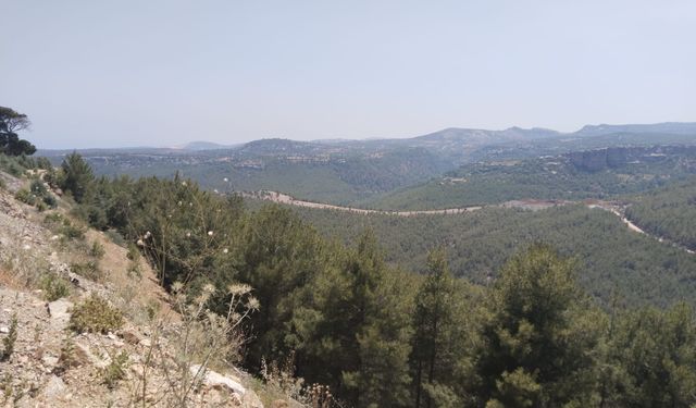Taşeli Ormanlarında Yaban Hayatına 'Can Suyu' Çağrısı