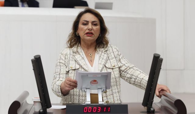 CHP'li Şevkin'den Meclis'te NATO Tepkisi