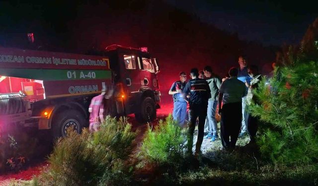 Adana'daki orman yangını kontrol altına alındı