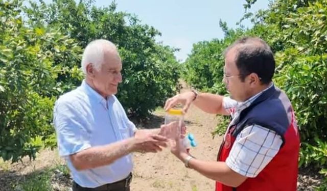 Andırın'da faydalı böcek ile doğal mücadele