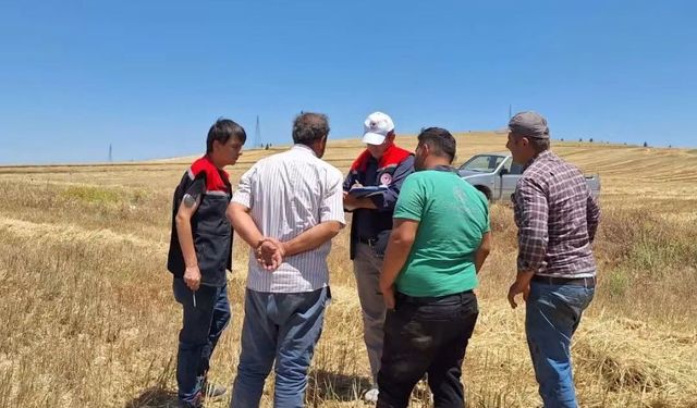 Burdur'da biçerdöverler denetleniyor