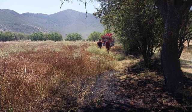 Burdur'da tarlada yangın