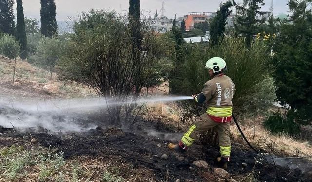 İskenderun'da otluk alan yangını
