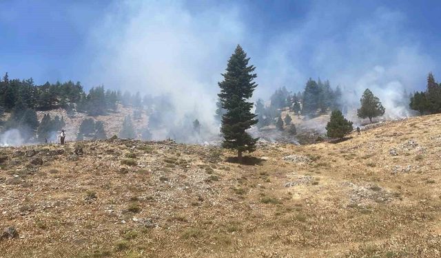Kahramanmaraş'ta iki orman yangını kontrol altına alındı