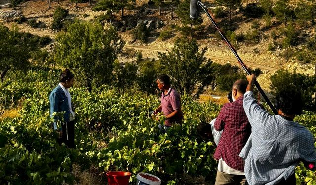 Mersin sinema sektöründe adını duyuruyor
