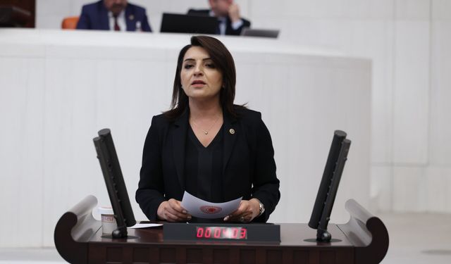 CHP'li Kış'tan TBMM'de Sert Faiz ve Borç Çıkışı