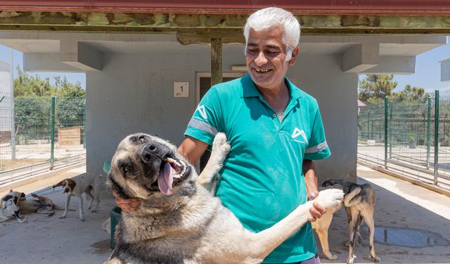 Silifke Hayvan Bakımevi binlerce cana umut oldu