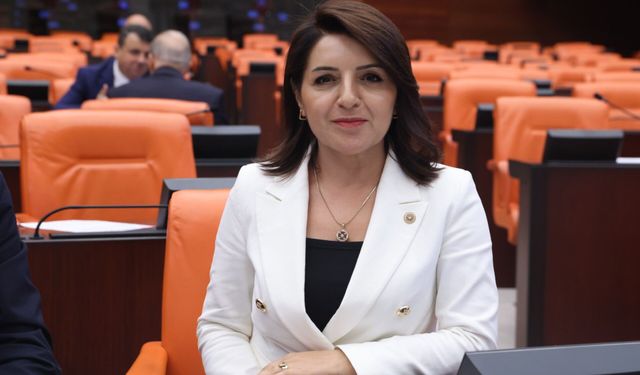 CHP'li Kış'tan Meclis'te Mersin Körfezi İsyanı