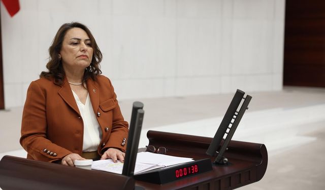 CHP’li Şevkin’den Bakan Çiftçi’ye Zeydan Karalar Tepkisi