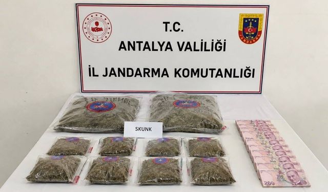 Antalya'da 5 kilogram skunk esrar maddesi ele geçirildi