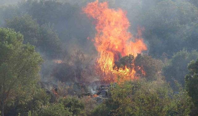 Antalya'da iki ilçede çıkan orman yangınları kontrol altına alındı
