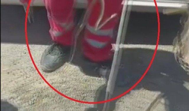 Aracına binerken fark ettiği yılanı itfaiye ekipleri yakaladı