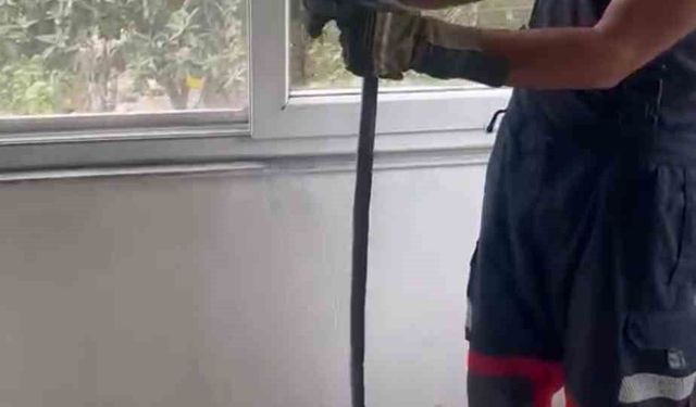 Eve giren yılan pencere arasına sıkıştı