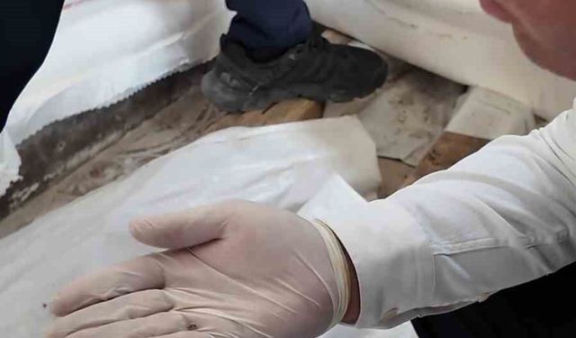 Fare dışkısından ve böcekten geçilmeyen fırındaki dondurucudan paslı keser çıktı