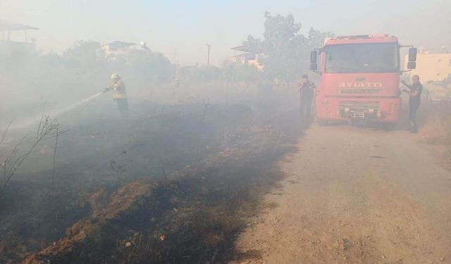Hassa'da zeytinlik yangını yaşandı