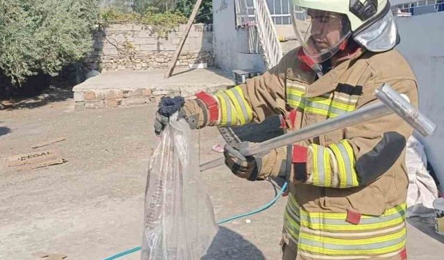 Hatay'da yerleşim alanlarında yakalanan yılanlar doğaya bırakıldı