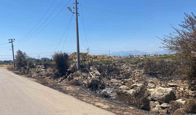 Kaçak moloz döktü, elektrik tellerini kopardı, yangına neden oldu