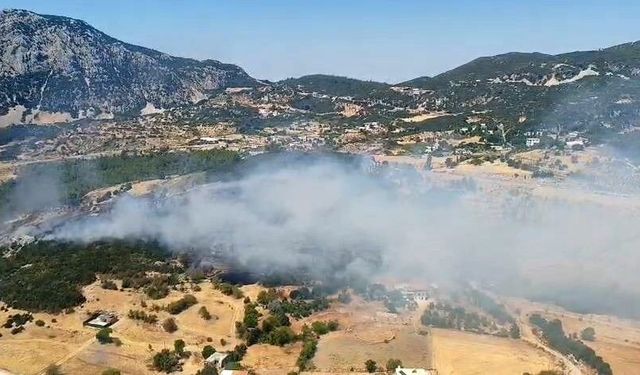 Kaş'ta çıkan ormanlık alan yangını 2,5 saatte kontrol altına alındı