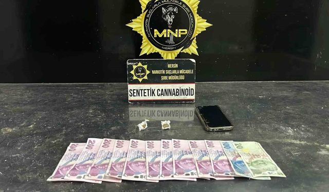 Mersin'de siber dolandırıcılık operasyonu