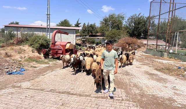 Öksüz ve yetim çoban Suriyeli Abdurrahman'dan kendine sahip çıkan aileye yürek ısıtan teşekkür