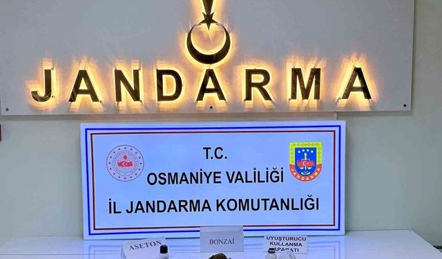 Osmaniye'de jandarmadan patlayıcı ve silah operasyonu