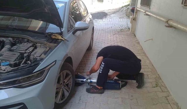 Reyhanlı ve Defne'de mahsur kalan kediler kurtarıldı