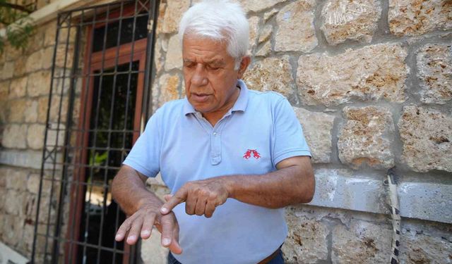 Su altında aslan balığı dikenleri için profesörden uyarı
