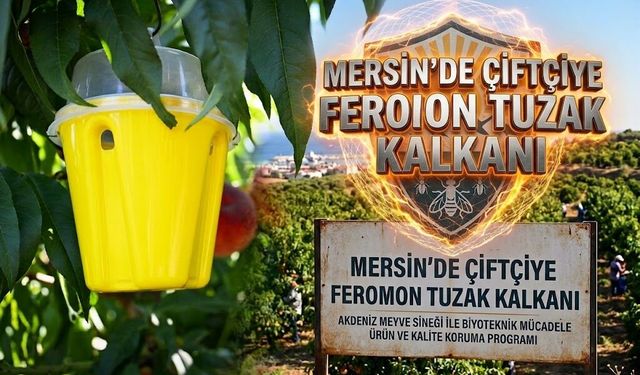 Mersin’de Çiftçiye Feromon Tuzak Kalkanı
