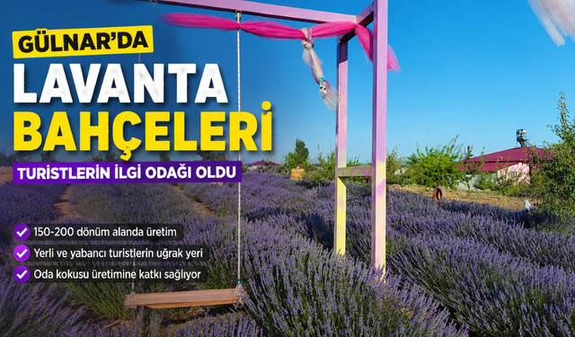 Gülnar’da Mor Bahçeler Turistlerin İlgi Odağı Oldu