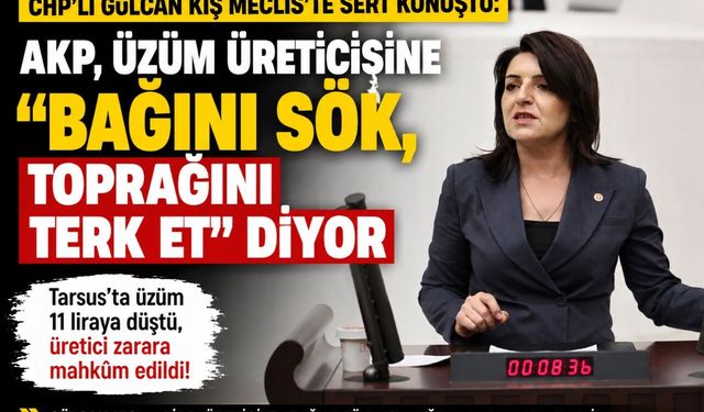 Tarsuslu üzüm üreticisine 11 liralık fiyat şoku
