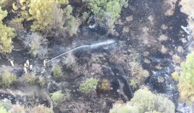 Burdur'da ormanlık alanda çıkan yangın söndürüldü