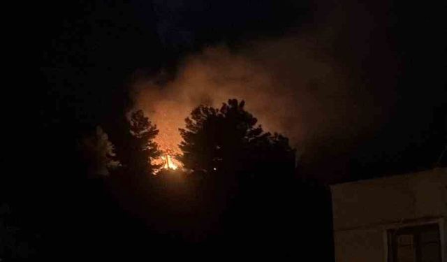 Havai fişeğin düştüğü ormanlık alandan alevler yükseldi