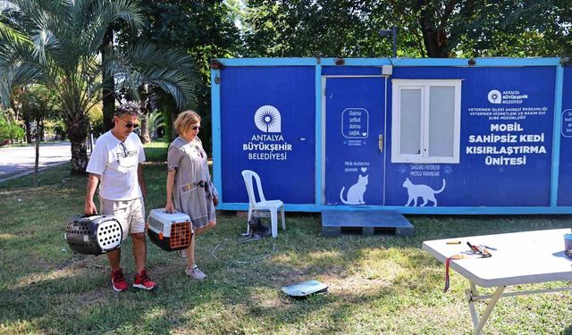 Mobil sahipsiz kedi kısırlaştırma ünitesi Karaalioğlu Parkı'nda
