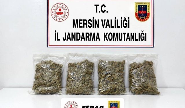 Uyuşturucu taciri 2 kilo 100 gram esrarla yakalandı