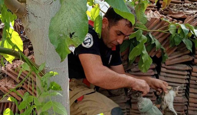 Vanaya sıkışarak mahsur kalan yavru kedi, itfaiye ekiplerinin çalışmasıyla kurtarıldı