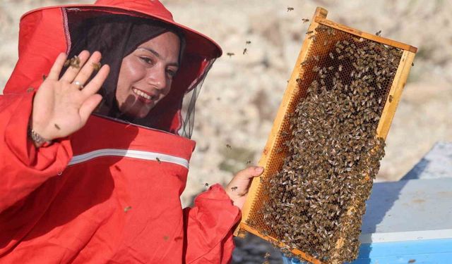 22 yaşında diplomasını aldı, 250 kovanla başladığı arıcılıkta bine ulaştı