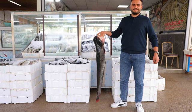 Denize kıyısı olmayan Kahramanmaraş'ta balık pazarı hareketlendi