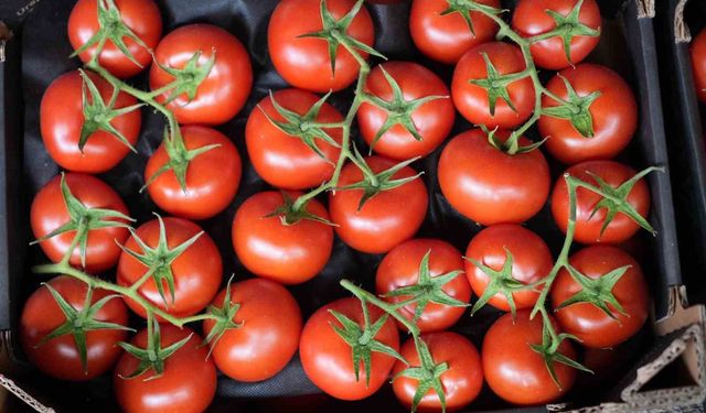 Eylül ayında domatesin yıllık bazda miktar ve fiyat endeksi arttı