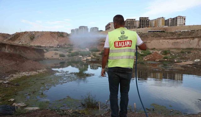 Hatay'da haşere ve vektör mücadelesi sürüyor